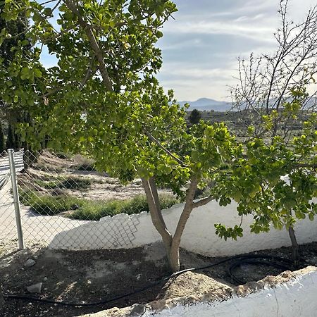 Alojamientos CUEVAS TIANA El Aljibete Exterior foto