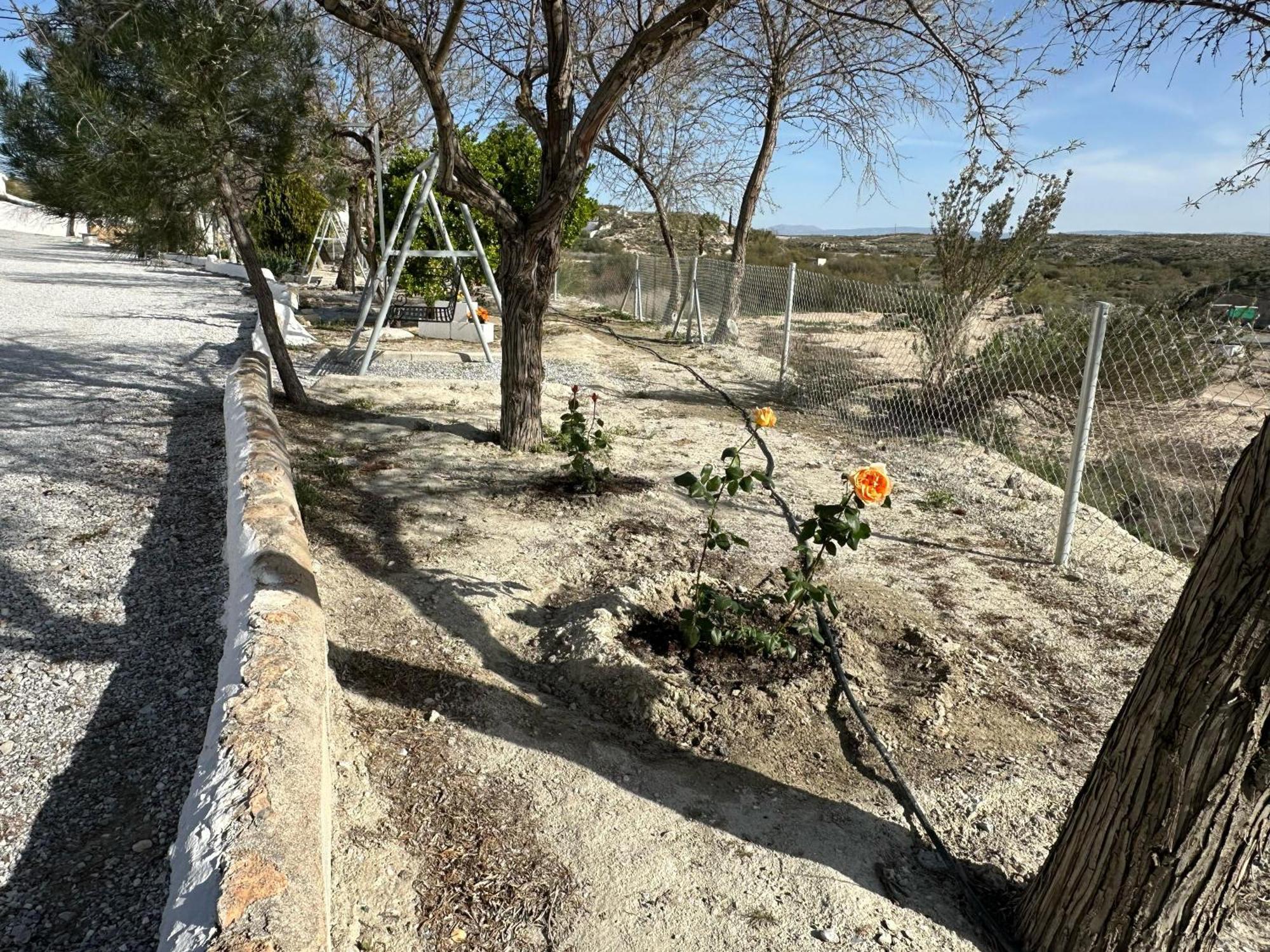 Alojamientos CUEVAS TIANA El Aljibete Exterior foto